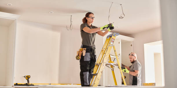 Best Generator Installation Services  in Saranac, MI