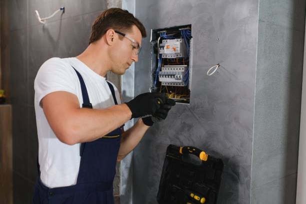Best Electrician for Home Renovation  in Saranac, MI