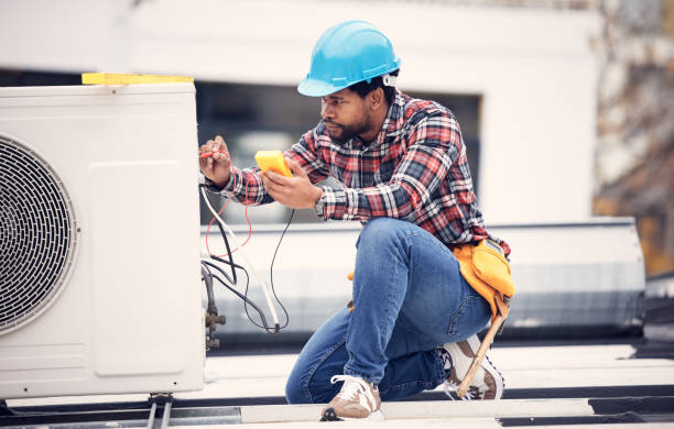 Best Affordable Electrician  in Saranac, MI
