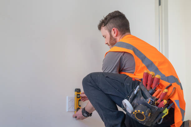 Best Residential Electrician Services  in Saranac, MI