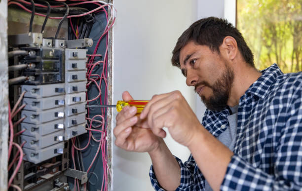 Best Licensed Electrician  in Saranac, MI